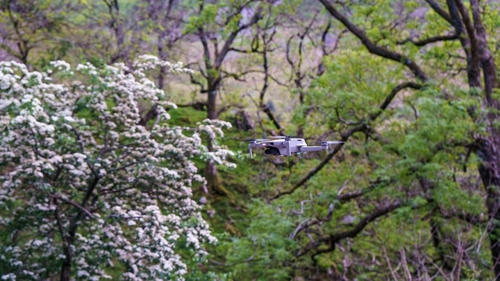 Innov8 Digital Media DJI Mini 2