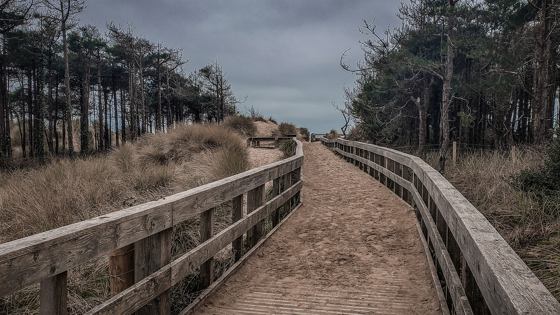 Newborough National Nature Reserve and Forest, Anglesey, North Wales