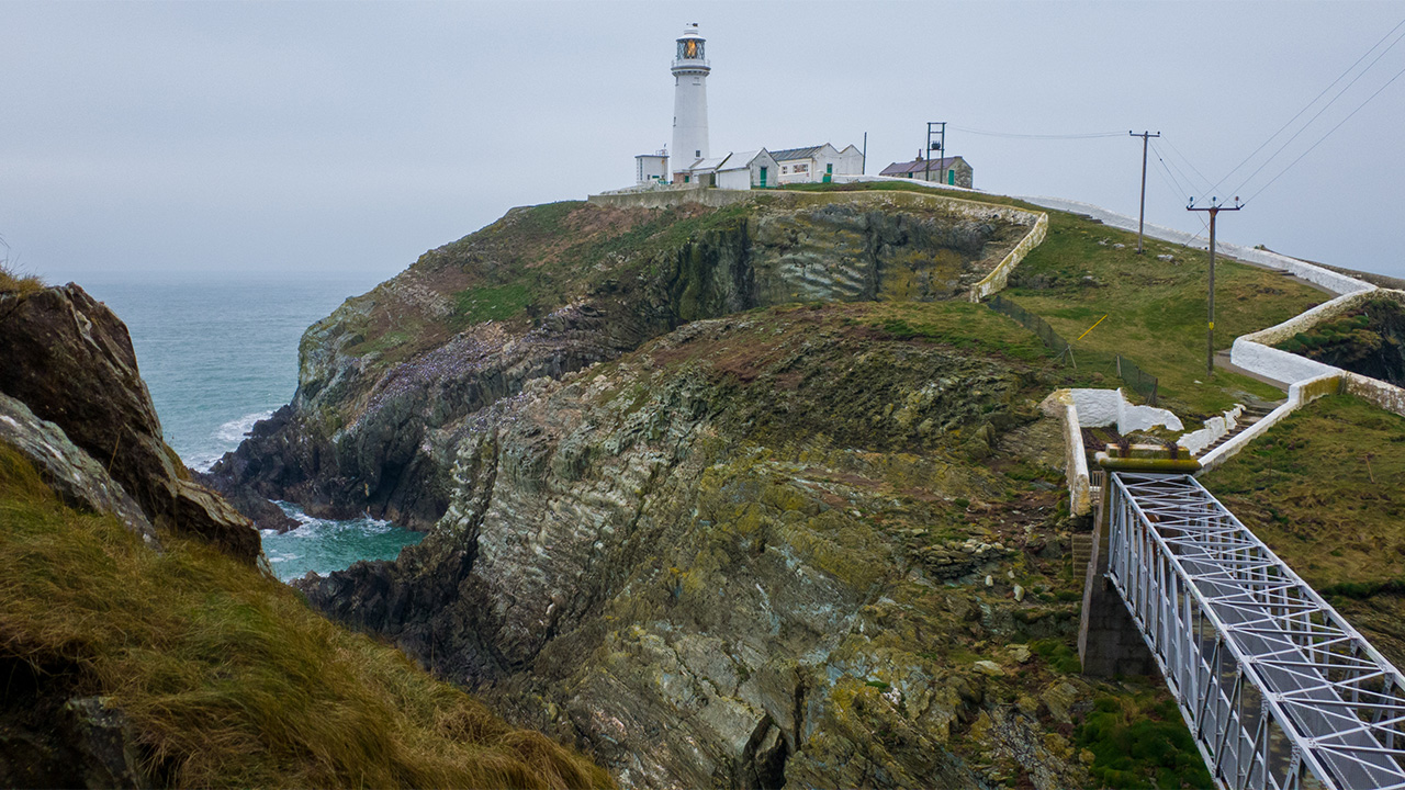 South Stack, Anglesey, North Wales image 5