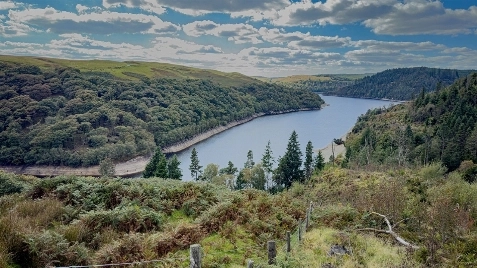 Ecological Continuity Trust's Virtual Reality Tour BTS/Documentary image 14