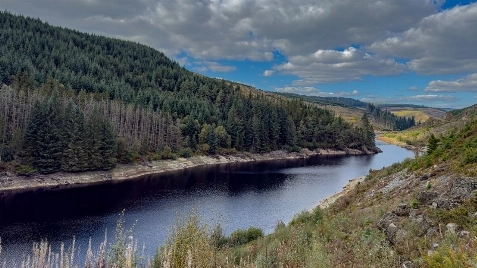 Ecological Continuity Trust's Virtual Reality Tour BTS/Documentary image 16