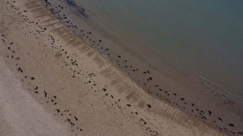 Llanddwyn Beach By Drone, Anglesey, North Wales image 2