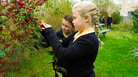 Ysgol Gynradd Bontnewydd, North Wales image 3